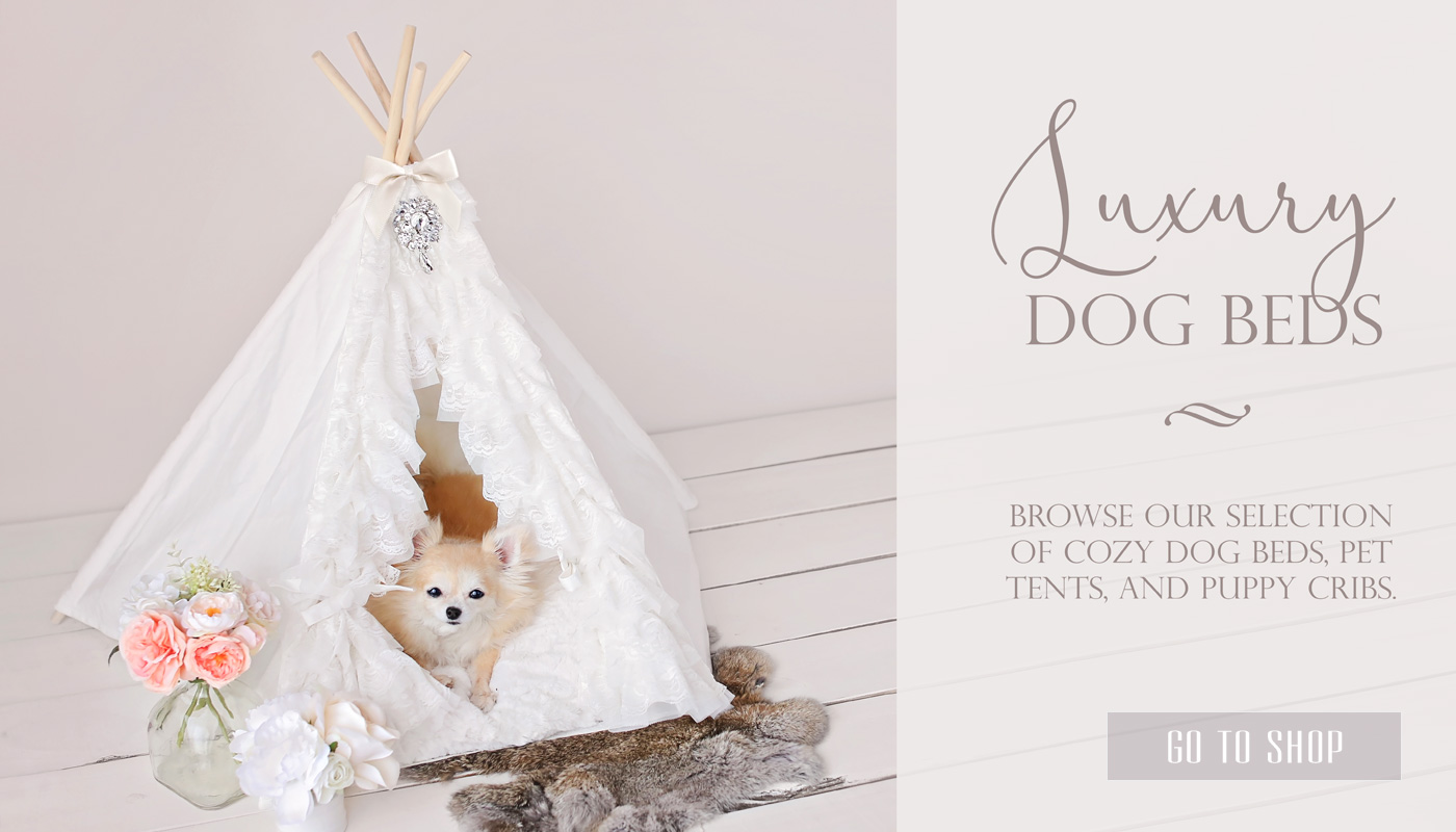 shopluxuryteacupdogbedsandpettents Teacup Puppies & Boutique