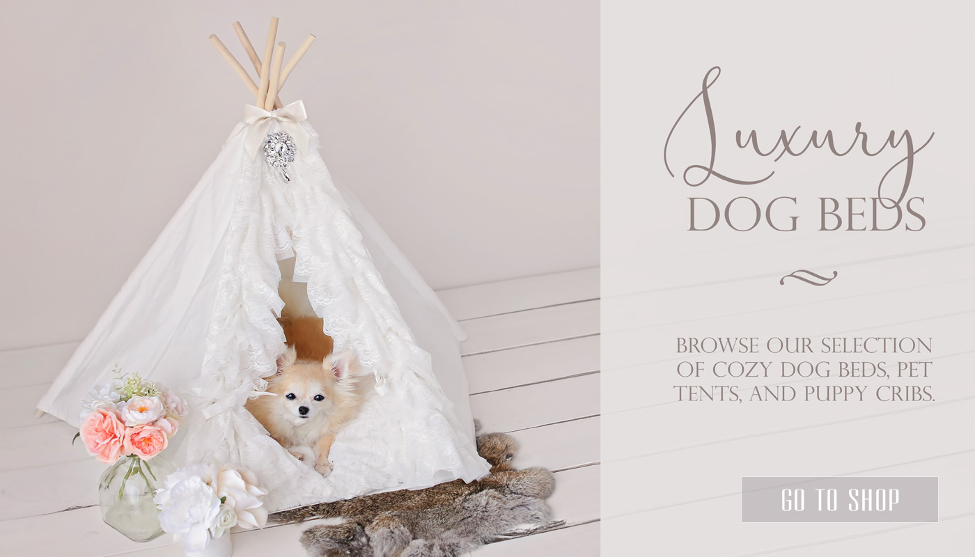 shopluxuryteacupdogbedsandpettents Teacup Puppies & Boutique