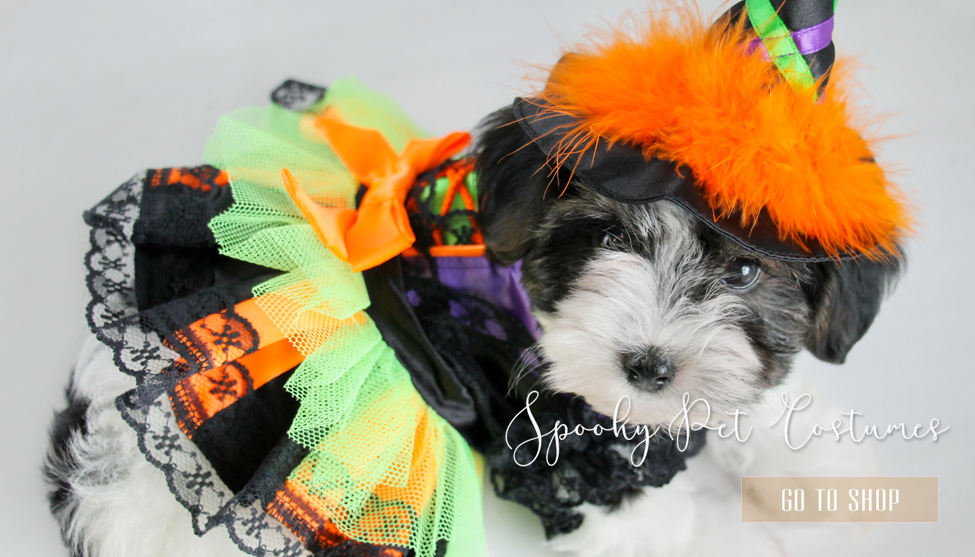 teacupdoghalloweencostumessmalldogspetcostumes Teacup Puppies & Boutique