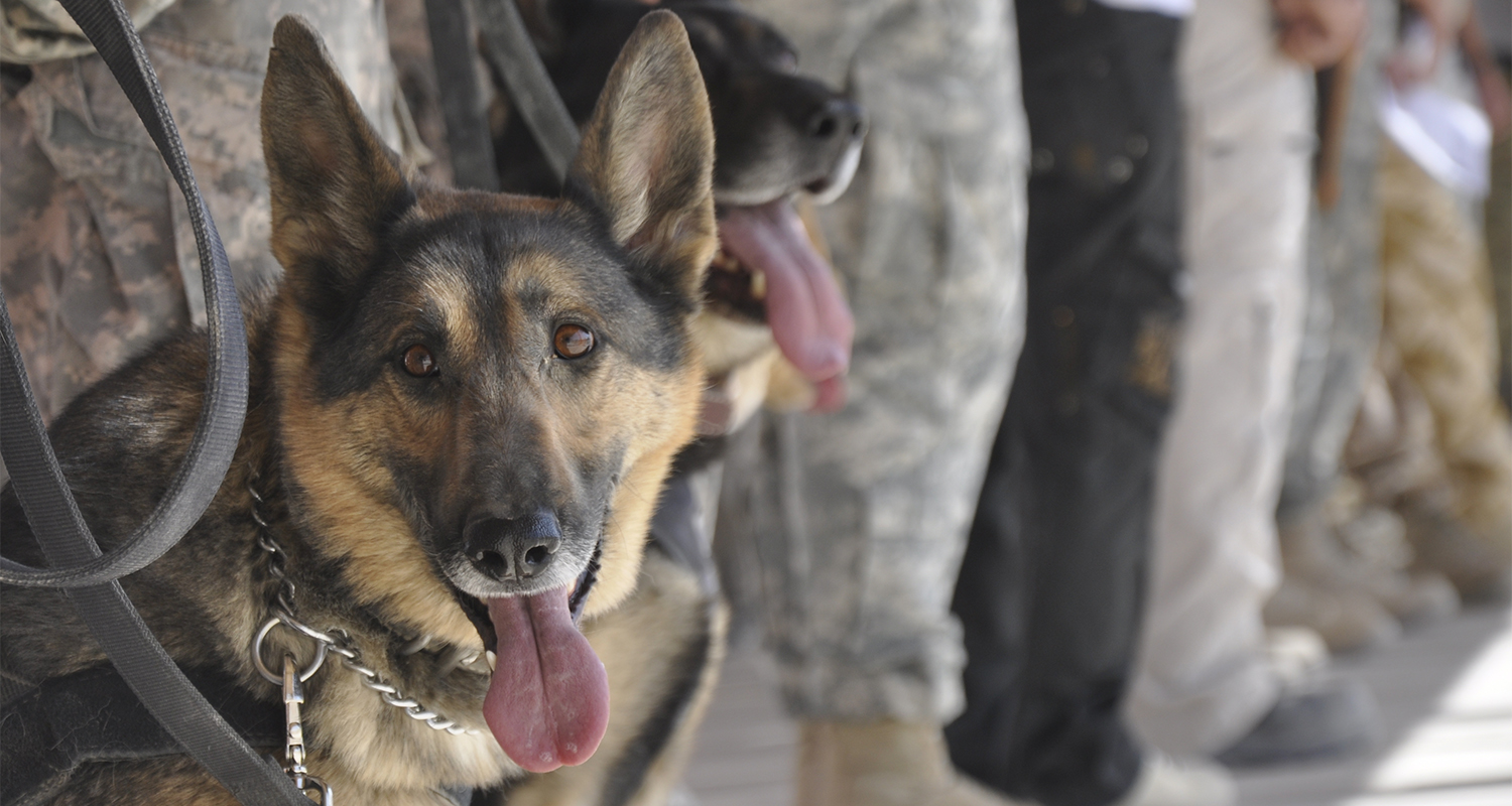 We appreciate your service! Veterans receive a 10% military discount.