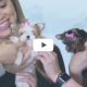 TeaCups, Puppies and Boutique Commercial
