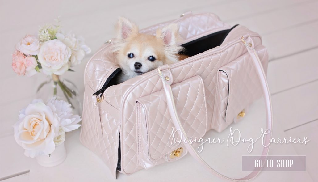designerteacupdogcarriers Teacup Puppies & Boutique