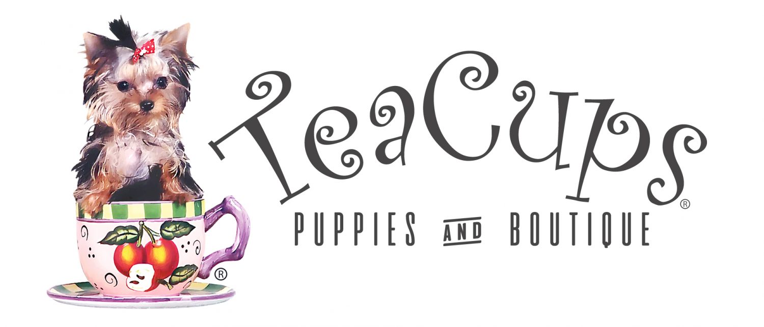 teacuppuppyboutiquelogo Teacup Puppies & Boutique