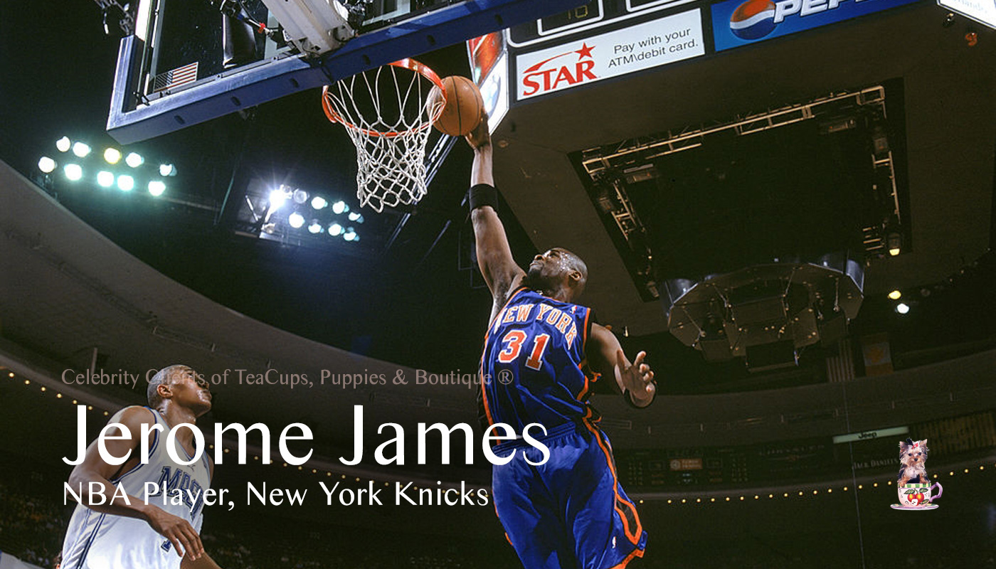 jerome james knicks