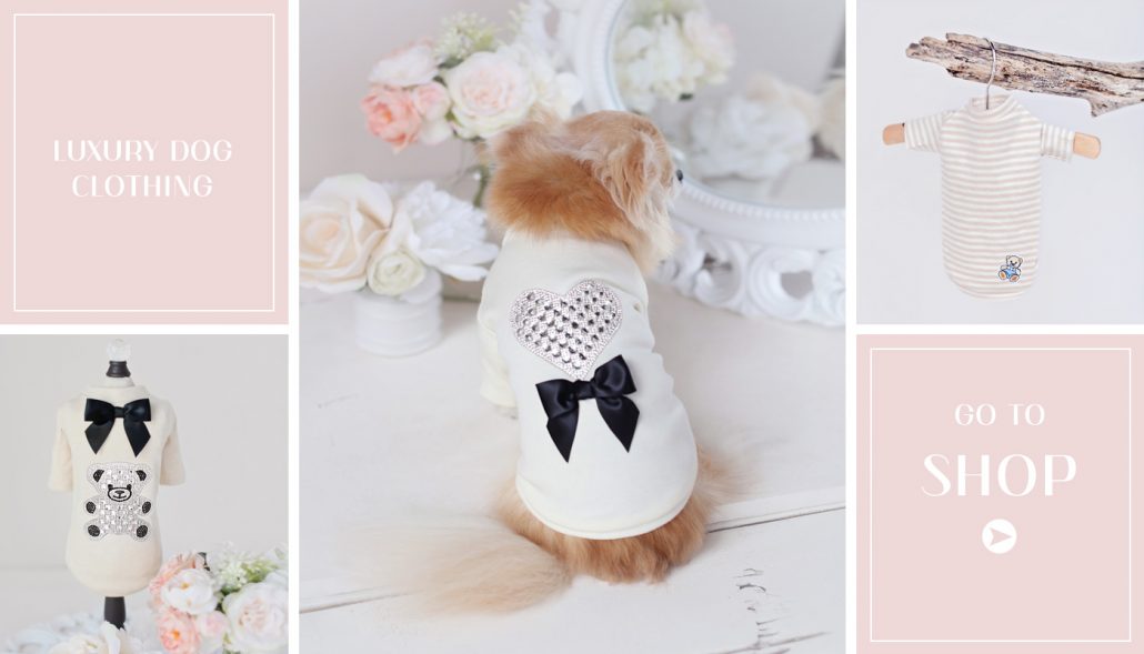 teacupdogclothesdesignerdogclothing Teacup Puppies & Boutique