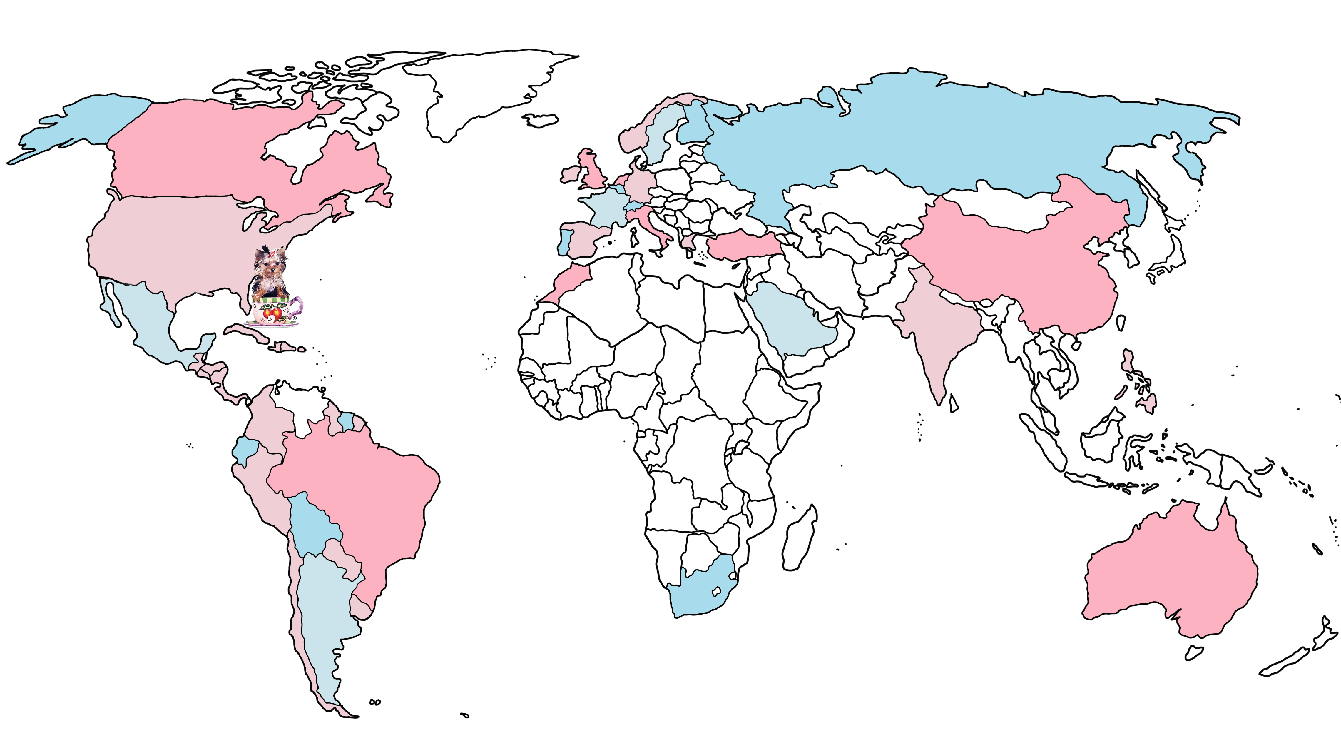 teacups-puppies-shipping-delivery-map