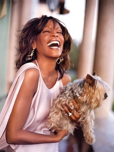 Whitney Houston Teacup Puppies