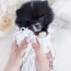 black pomeranian teacup puppies