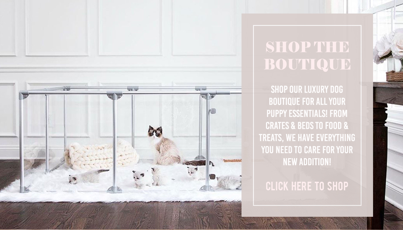 shopteacuppuppyessentialssmalldogaccessoriesclearacrylic