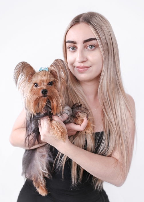 yorkie-puppy-24-25-262
