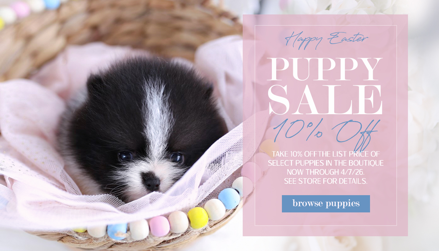 easter-puppy-sale-2026