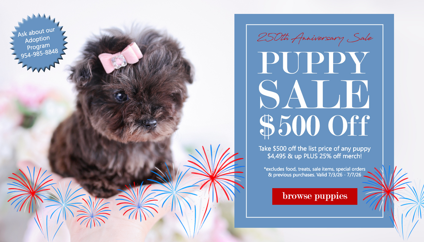 july-4-teacup-puppy-sale-2026
