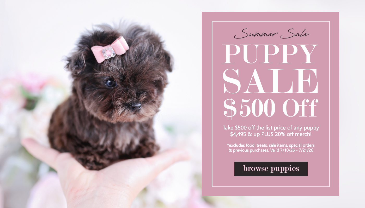 teacup-puppies-summer-sale-500-off-coupon